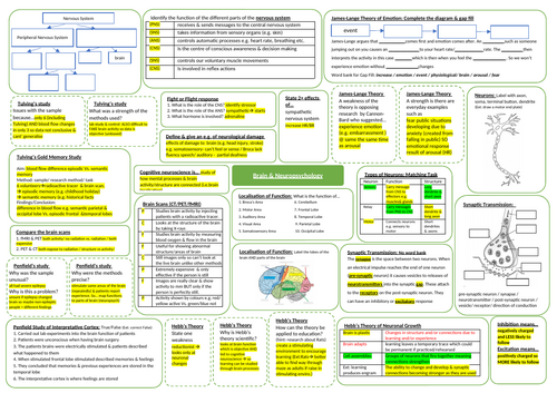 Knowledge Organiser/Revision - Brain and Neuropsychology | Teaching ...