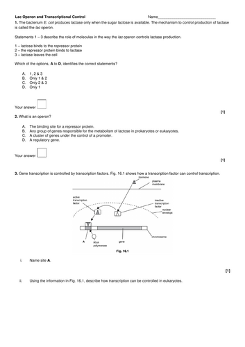 docx, 136.2 KB