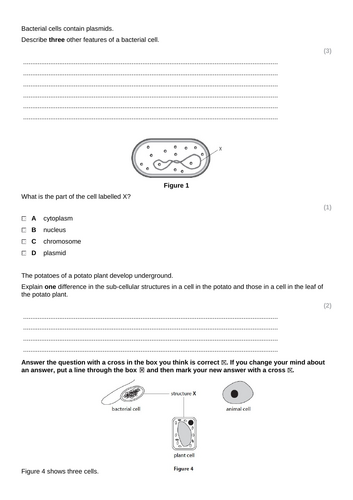 Cells KS4 edexcel Topic 1 lesson 1 | Teaching Resources