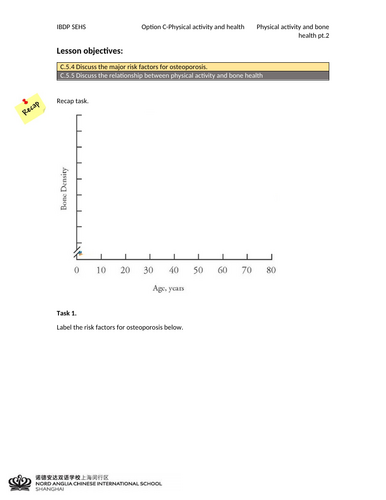 docx, 299.87 KB