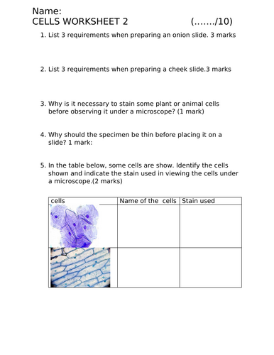 Cells worksheet | Teaching Resources