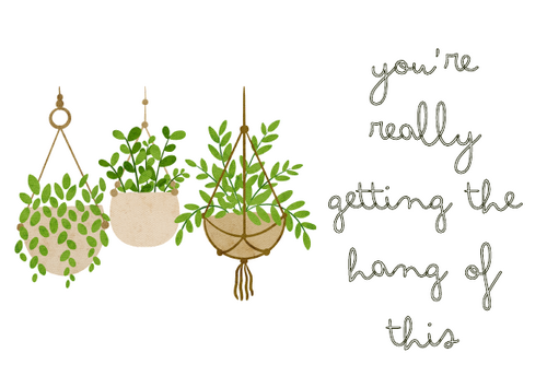 Encouragement, Praise and Feedback Cards / Posters - Calming Plant ...