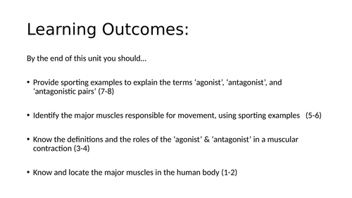 EDUQAS GCSE PE Muscular System