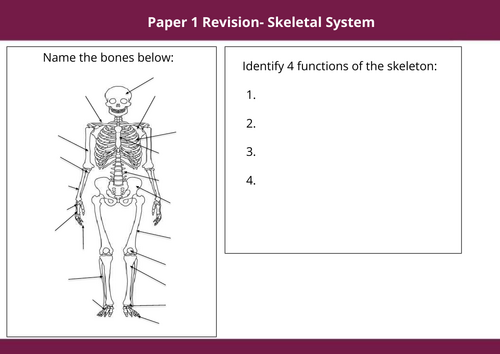 OCR GCSE PE Paper 1 Complete Low Stakes Revision | Teaching Resources
