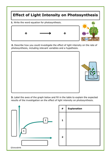 Effect of Light Intensity on Photosynthesis + Model Answers Included