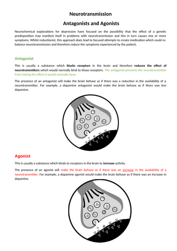 IB Neurotransmission - Agonists & Antagonists - Explanation, Research + Evaluation