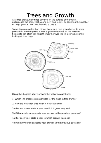 KS3 Life Processes Lesson | Teaching Resources