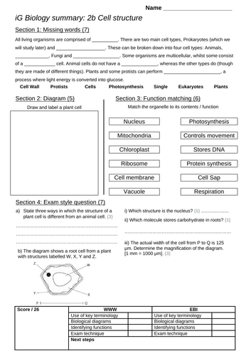 iGCSE Biology 2b: Cell structure - summary sheet | Teaching Resources