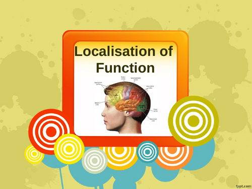 AQA A Level - Localisation of Function | Teaching Resources