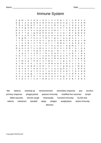 Immune System Word Search for Vet. Science Students | Teaching Resources