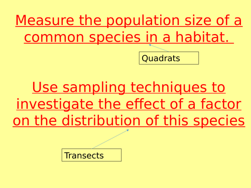 Field Investigations Required Practical (Quadrats&Transects)