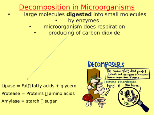 Decay Required Practical Single Biology