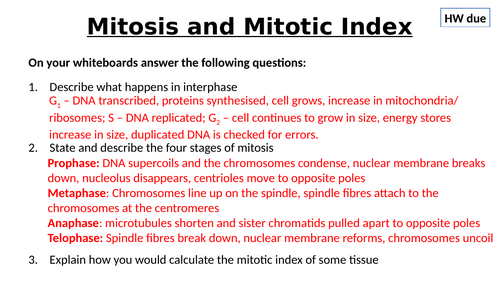 A-Level AQA Biology - Root Tip Squash Required Prac