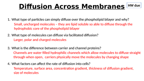 A-Level AQA Biology - Osmosis + Water Potential