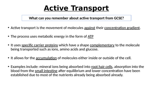 A-Level AQA Biology - Active Transport and Co-transport