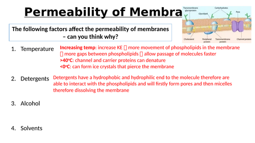 A-Level AQA Biology - Transport Across Membranes Bundle | Teaching ...