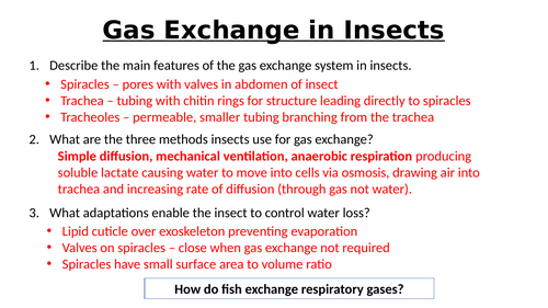 A-Level AQA Biology - Gas Exchange Fish