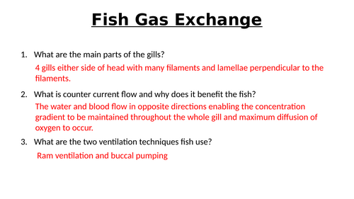 A-Level AQA Biology - Fish Head Dissection