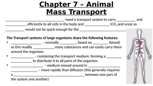 A-Level AQA Biology - Circulatory System