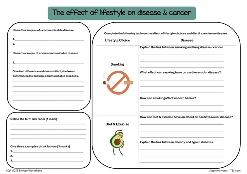 GCSE Biology Worksheet Effect of Lifestyle on Disease & Cancer ...