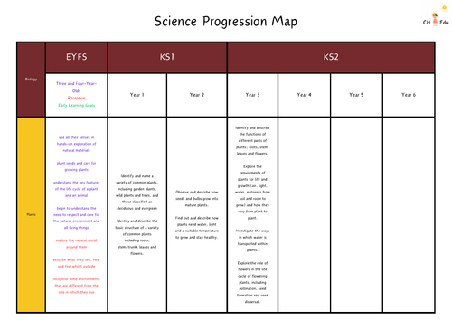 Progression Map Science FS1 - Year 6 | Teaching Resources