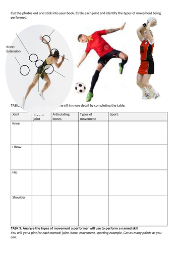 GCSE OCR PE Paper 1 skeletal system resources | Teaching Resources