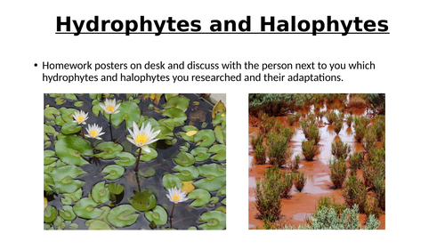 A-Level AQA Biology - Plants Practical Assessment 2