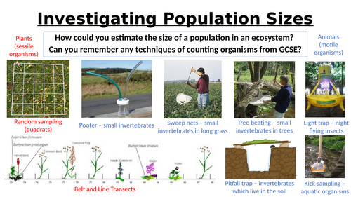 A-Level AQA Biology - Mark-Release-Recapture