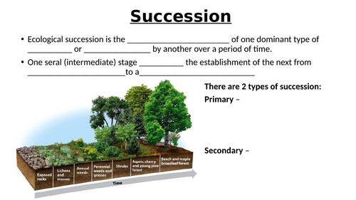 A-Level AQA Biology - Succession