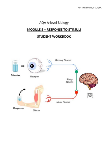 A-Level AQA Biology - Response to Stimuli Workbook