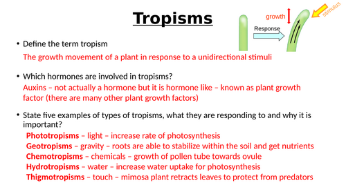 A-Level AQA Biology - Response to Stimuli Bundle | Teaching Resources
