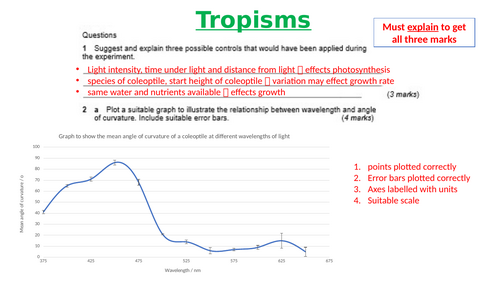 A-Level AQA Biology - Tropisms