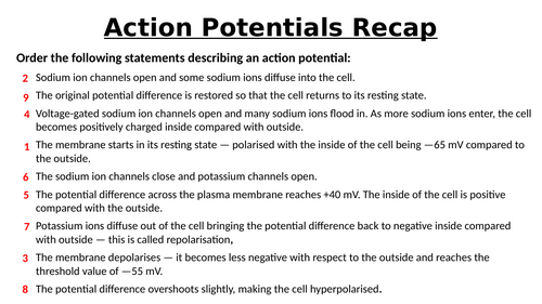 A-Level AQA Biology - Passage of Action Potential