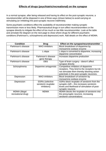 A-Level AQA Biology - Drugs and Synapse