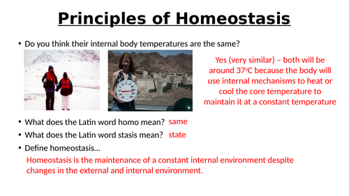 A-Level AQA Biology - Principles of Homeostasis