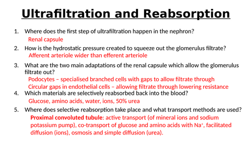 A-Level AQA Biology - Loop of Henle