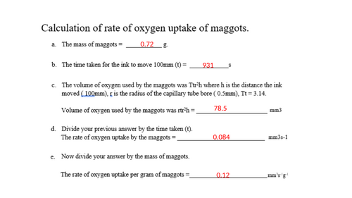 A-Level AQA Biology - Respirometers