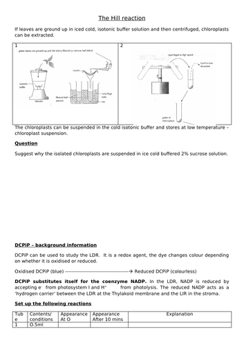 A-Level AQA Biology - Hill Reaction Required Practical