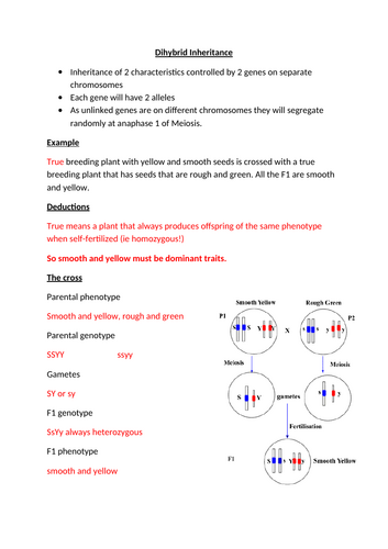 A-Level AQA Biology - Epistasis