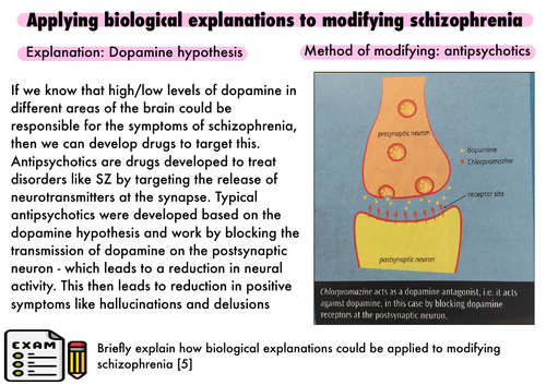 Comp 3 - apply explanations to methods of modifying SZ