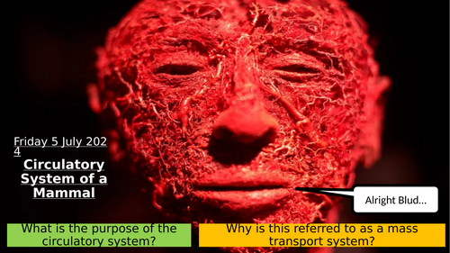 7.3 Circulatory System of a Mammal