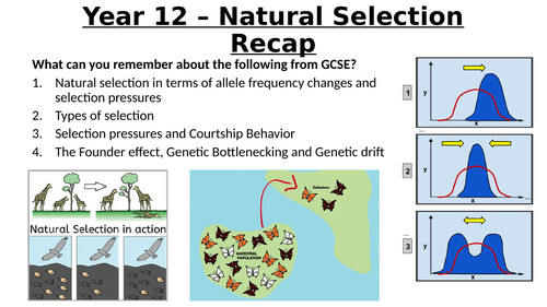 A-Level AQA Biology - Selection Recap