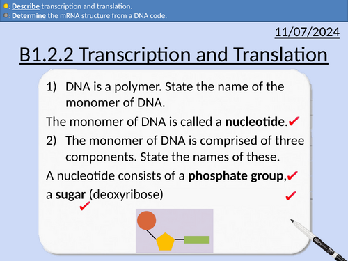 GCSE OCR Biology: B1.2 What happens in cells? | Teaching Resources