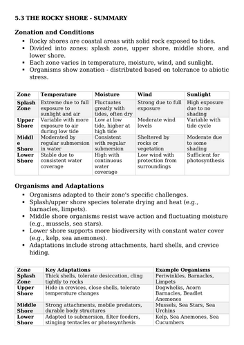 docx, 17.72 KB