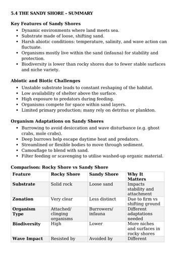 docx, 18.6 KB
