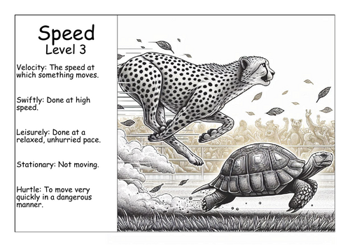 Word of the Day Workbook - Speed - Level 3 | Teaching Resources