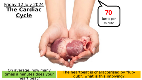 7.5 The Cardiac Cycle
