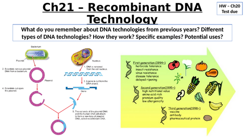 A-Level AQA Biology - Producing DNA Fragments