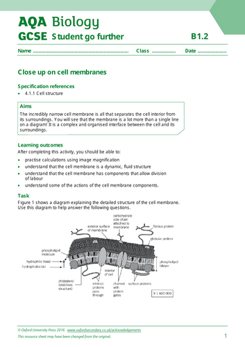 GCSE - Cell biology 2 - Animal and Plant cells | Teaching Resources