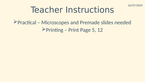 Ks3 lesson on microscopes and magnification introduction - Edexcel